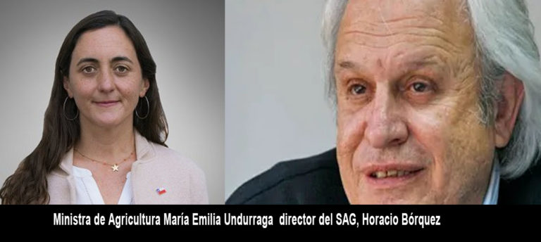 ¿Ministra de Agricultura seguira desconociendo informe de Contraloría sobre  riesgos de plaguicidas en Alimentos producidos en Chile?