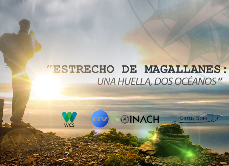 Fundación Prisma Austral estrena documental científico sobre el Estrecho de Magallanes