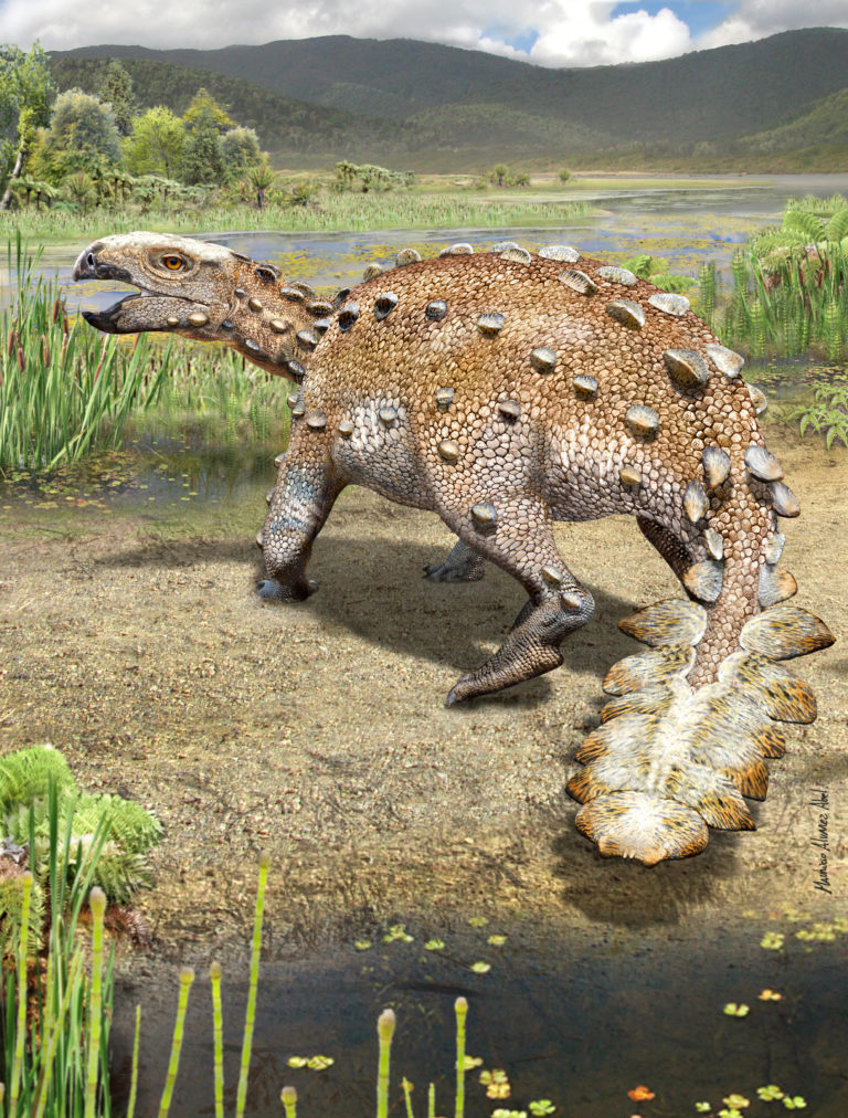 Inician búsqueda de fósiles de la Era de los Dinosaurios en Torres del Paine