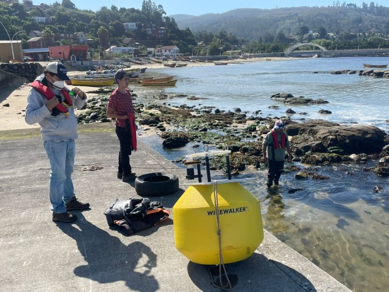 Investigan efectos del Cambio Climático en Bahía de Coliumo