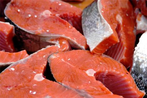 Producir salmón es un derroche alimentario según estudio que recomienda consumir peces silvestres antes que salmón industrial