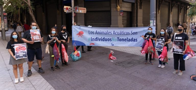 Defensores de los animales protestaron contra pesca industrial y exigen protección de especies marinas