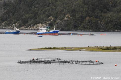 Organizaciones y comunidades demandan caducar efectivamente concesiones ilegales en la Patagonia