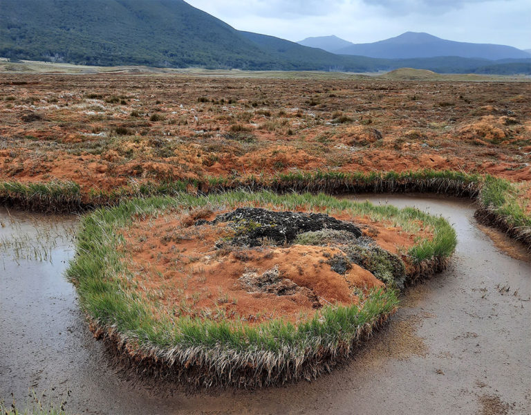 Firmarán Acuerdo de Venecia para proteger sistemas de Turberas de la Patagonia