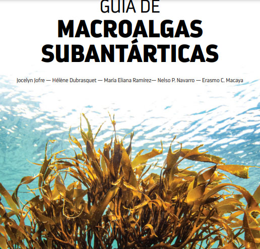 Presentan “Guía de macroalgas subantárticas”. Baja el libro gratuito aquí