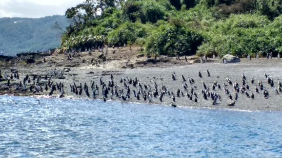 Implementan recorridos interactivos en Queilén para fomentar el turismo de Chiloé