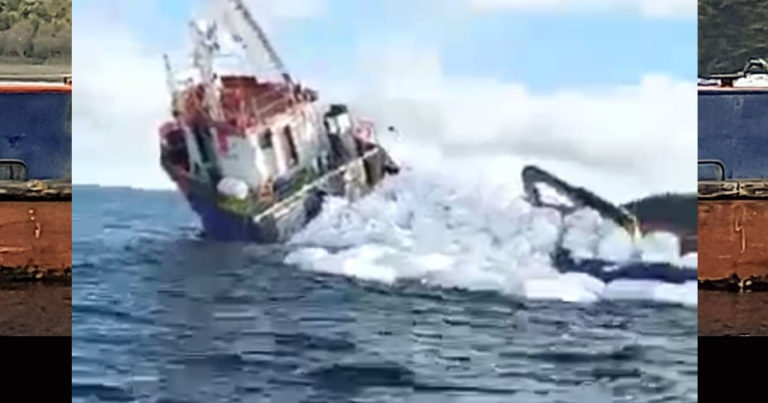 Temen daño ambiental y se querellan por barco hundido con carga de alimento para salmones y miles de litros de combustible en Calbuco