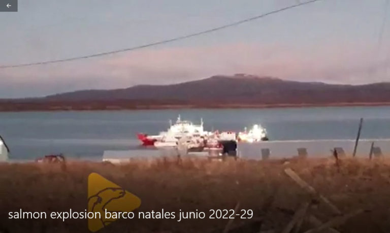 Alerta Patagonia: Explosión en nave de transporte de industria salmonera deja a tripulantes gravemente heridos en Puerto Natales