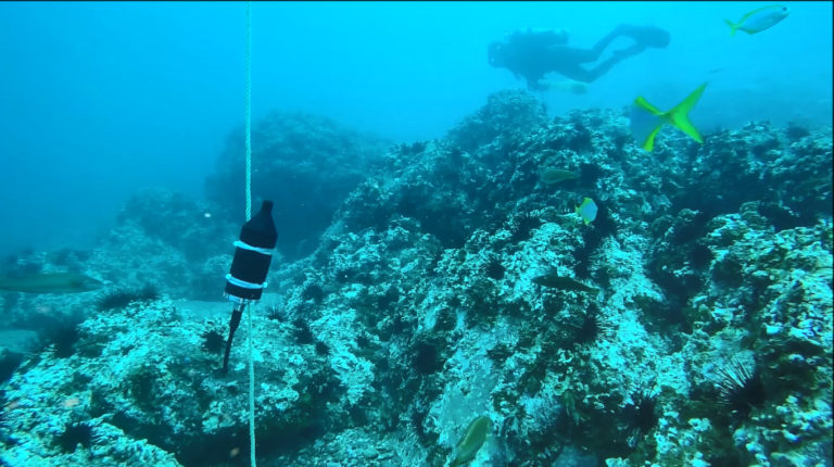 Investigarán el paisaje sonoro submarino de tres localidades de costa chilena