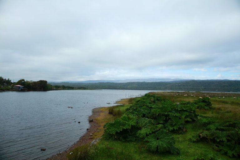 Lagos Huillinco y Cucao son declarados Santuario de la Naturaleza en Chiloé