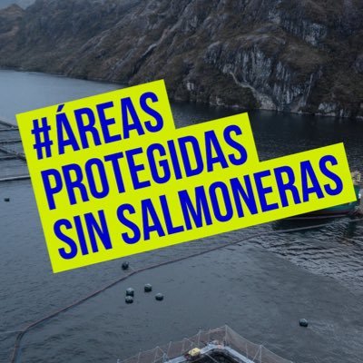 Demandan que gobierno de Boric cierre centros salmoneros que debían ser caducados y que se investigue a autoridades que no ejercieron ese deber