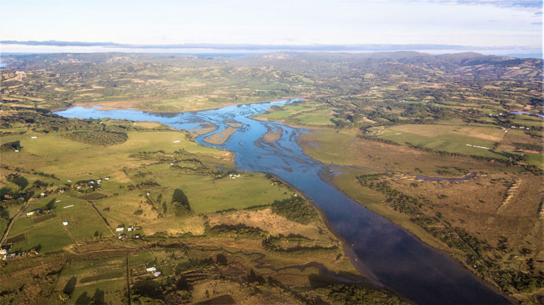 Regiones de Antofagasta y Los Lagos tienen nuevos Santuarios de la Naturaleza:  Itata Gualaguala y el humedal costero Quilo 