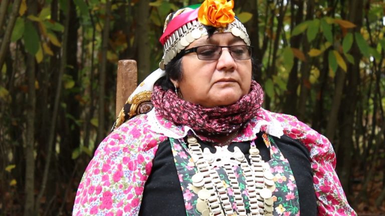 Cultora de música mapuche Elisa Avendaño obtiene el Premio Nacional de Artes Musicales