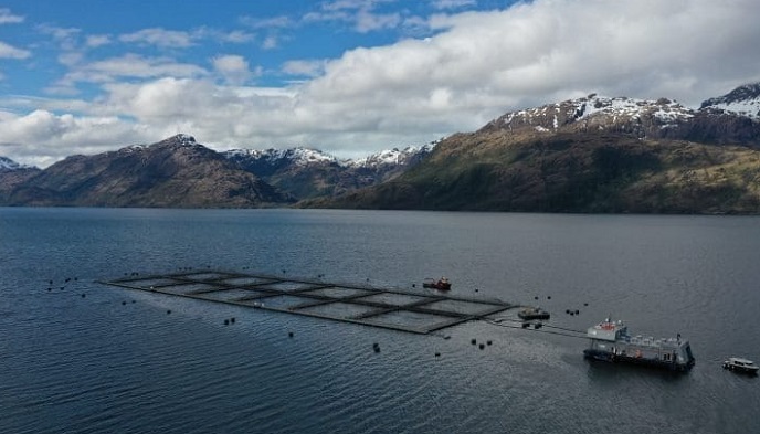 El fuerte conflicto político- empresarial en la Reserva Nacional Kawésqar : ¿conservación a la medida de los salmoneros?