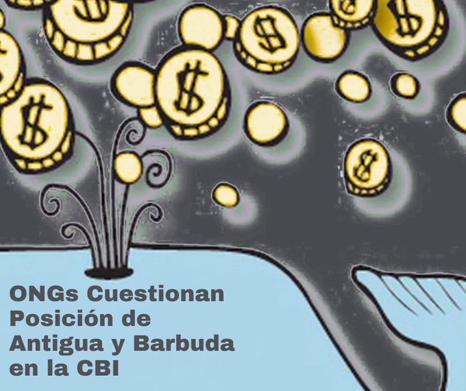 ¿Por qué un país que no tiene historia ballenera ni tradición de consumo quiere forzar a la CBI a levantar la moratoria que hace 40 protege a las ballenas de la caza comercial?