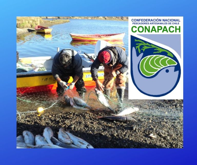 Conapach realizará su 24° Congreso a fines de noviembre en Puerto Montt