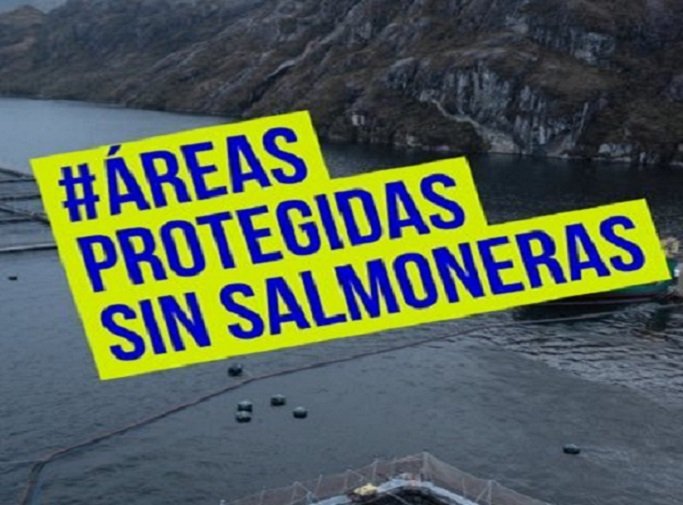 No aplicar la caducidad a salmoneras ilegales “es un ejemplo más de la violencia contra la naturaleza”