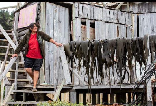 Pescadoras y pescadores de Licanten celebran fiesta «Sabores y Tradiciones Caleta Duao»