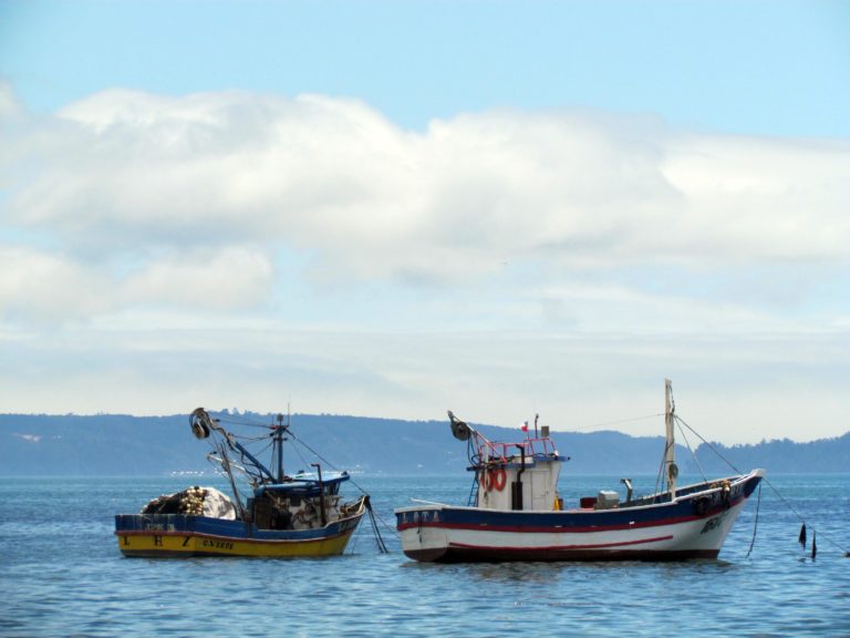 Proyecto de nueva Ley de Pesca: Llaman a la unidad y coordinación de la pesca artesanal chilena