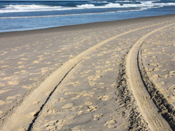 El tránsito de vehículos motorizados por playas y dunas costeras está siendo bastante dramático a nivel nacional