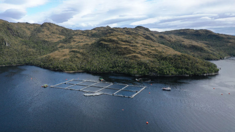 CODEFF Aisén llama a conocer acuerdo de Gobierno y Salmoneras por peculiar relocalización de centros de cultivo