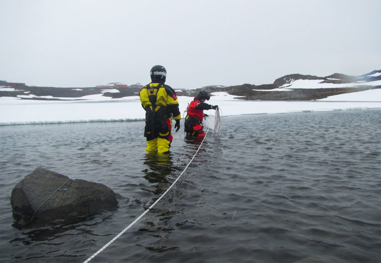 Estudian el lago más grande de la Isla Rey Jorge en Antártica, el centinela del cambio climático