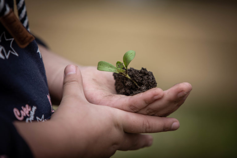 “la situación es mucho más grave que años precedentes»: Informe Ambiental Chile 2022