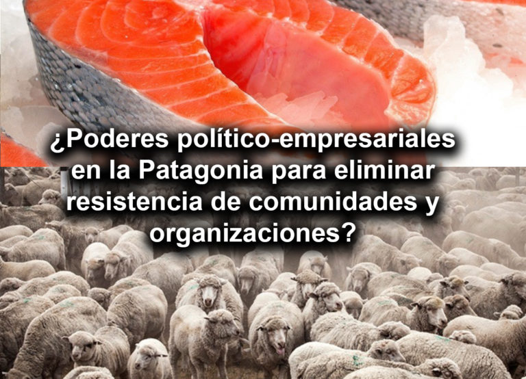 ¿Existe una articulación  político-empresarial binacional para eliminar las resistencias de organizaciones y comunidades indígenas en la Patagonia?