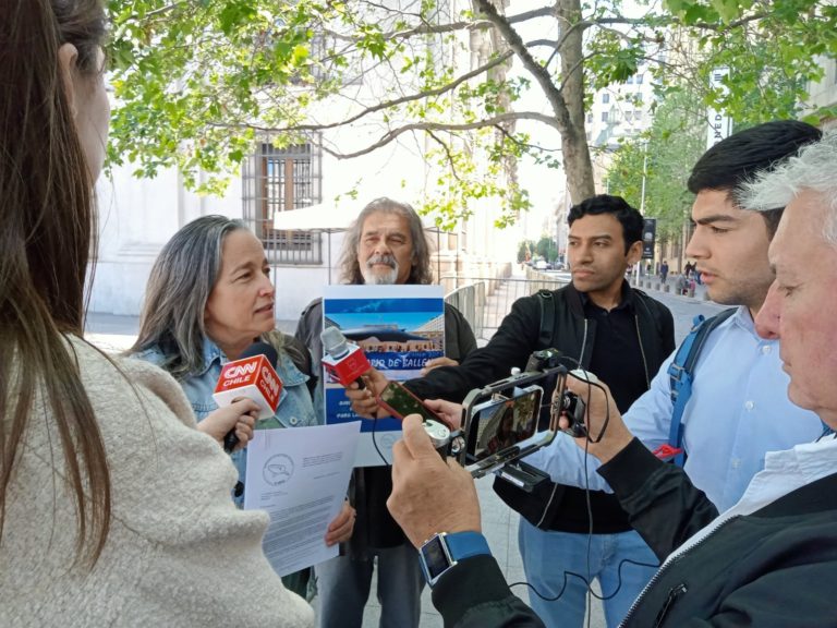 Masivo y urgente llamado de la sociedad civil global al presidente Boric para fortalecer el Santuario de Ballenas de Chile