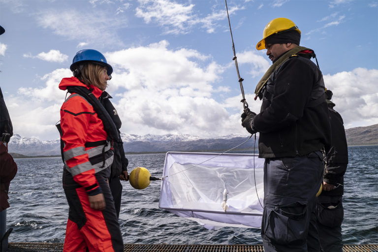 Estudio revela la presencia de microfibras de poliéster en aguas de la Patagonia