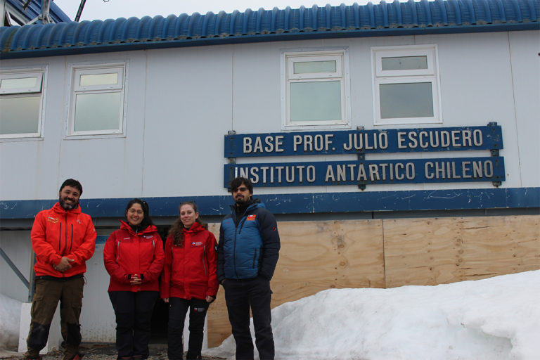 Expedición estratégica de contingencia llegó a la Antártica para estudiar la gripe aviar