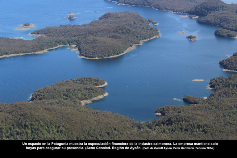 Salmoneras, hipotecas, especulación financiera y los Parques nacionales