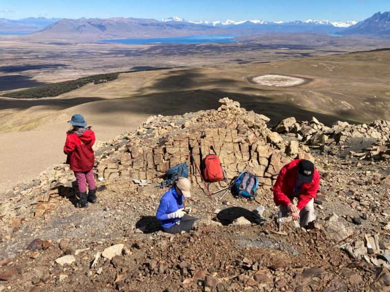 Cerca de Torres del Paine descubren nuevas especies vegetales que habitaron el Cretácico superior en Patagonia