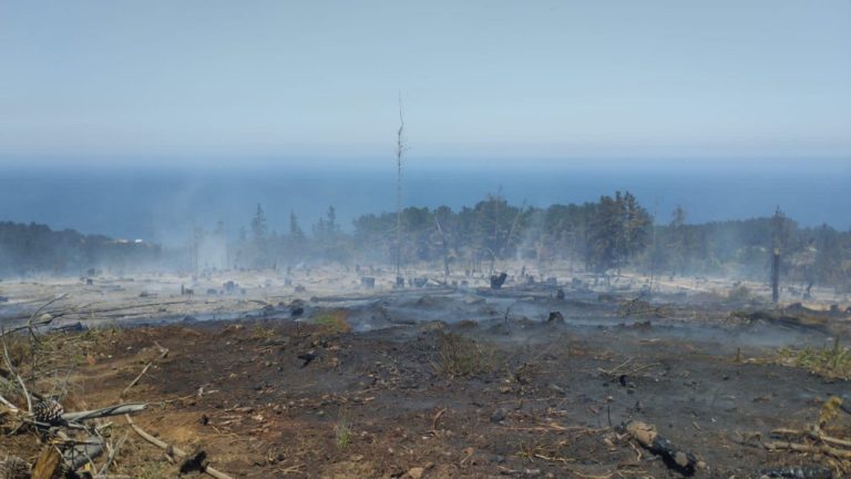 Movimiento por el Agua y los Territorios frente a Incendios forestales y urbanos: «Hay que actuar sobre las causas de fondo»