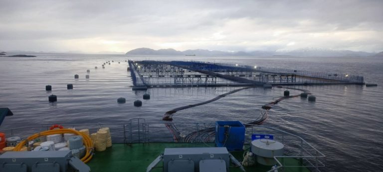 Otra vez la industria salmonera produce más peces de lo autorizado en Reserva Nacional de la Patagonia