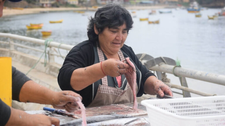 Mujeres de la Pesca Artesanal respaldan que flota industrial opere fuera de las 200 millas y que avance nueva Ley de Pesca