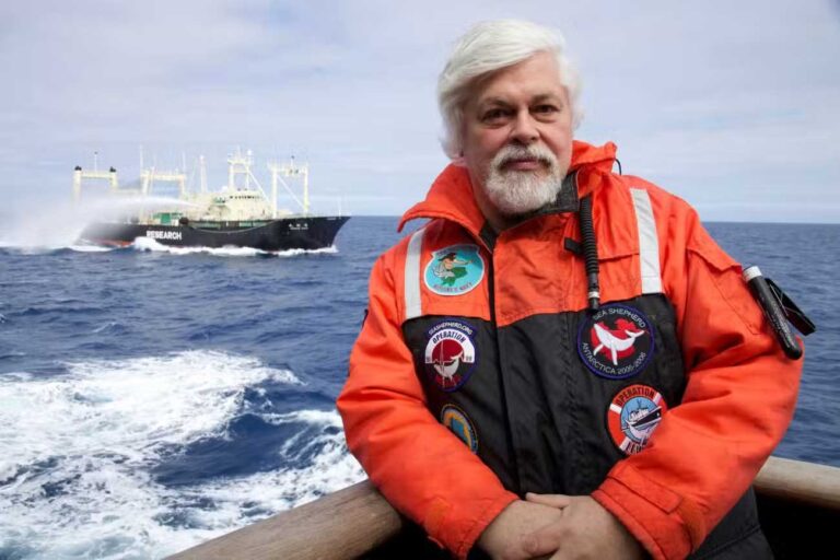 Liberar a Paul Watson y aislar al gobierno ballenero japonés, una campaña ciudadana que todos debemos apoyar