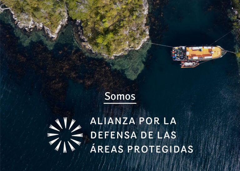 Inician campaña ciudadana para la salida de la industria salmonera de parques nacionales y reservas nacionales en sur de Chile