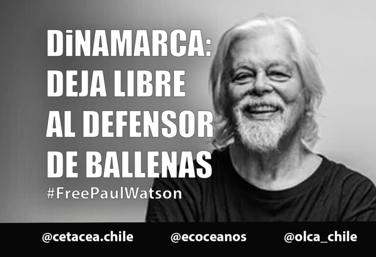 Organizaciones chilenas solicitan a Dinamarca que rechace extradición a Japón del defensor de las ballenas Paul Watson