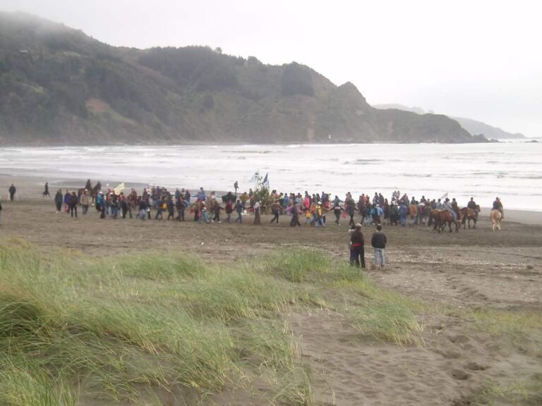 Con Canción de Daniela Millaleo se defiende el Mar de Mehuín para fortalecer Maritorio Ancestral Mapuche