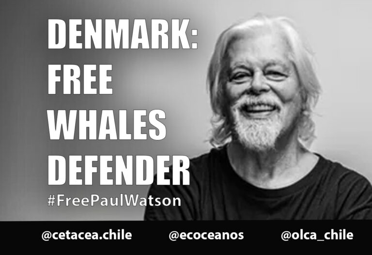 Desde la Patagonia y EE.UU., demandan libertad para Paul Watson, defensor de la Naturaleza y de los océanos