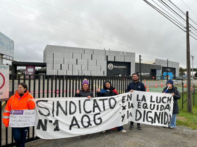 Farmaceutica clave de la industria salmonera genera huelga por casi un mes en la Patagonia chilena