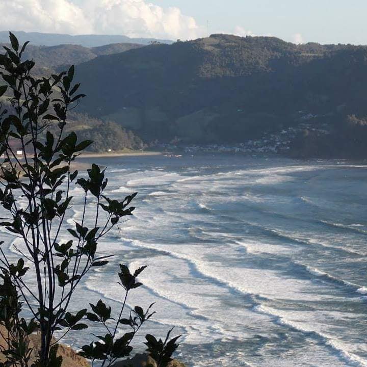 Principal compañía Forestal de Suramérica insiste en verter sus desechos de celulosa en el Espacio Costero Marino de Mehuin