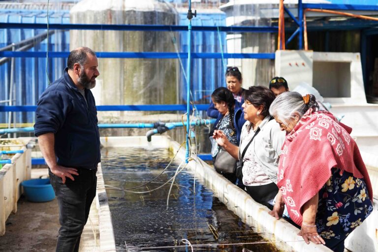 Fundación Chinquihue continúa incentivando acuicultura de pequeña escala en mujeres